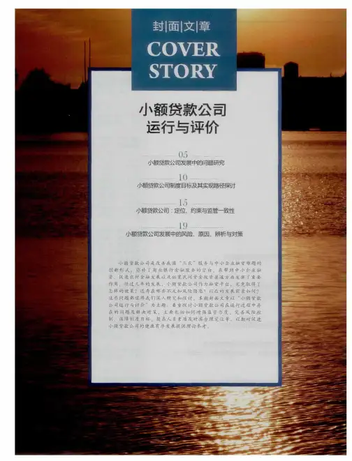 小额贷款公司运行与评价——小额贷款公司发展中的问题研究