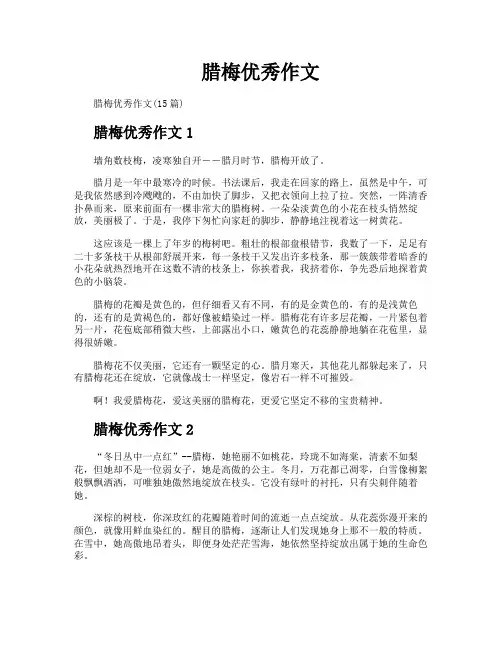 腊梅优秀作文