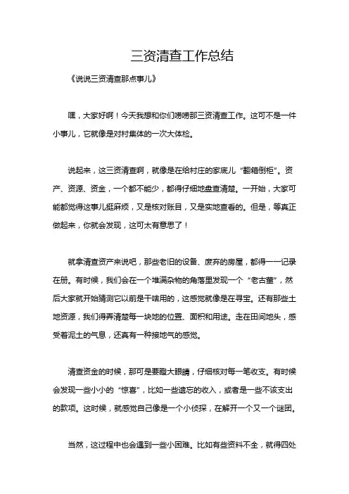 三资清查工作总结