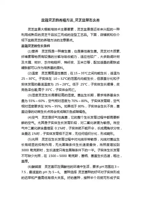 盆栽灵芝的养殖方法_灵芝盆景怎么养