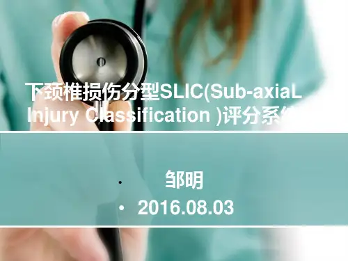 SLIC评分系统()PPT课件