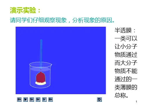 植物细胞吸水和失水的探究PPT课件