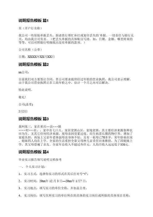 说明报告模板(7篇)