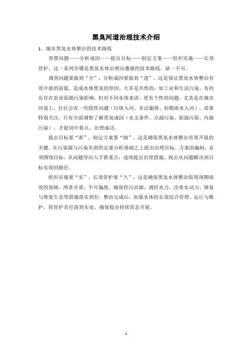 20190305黑臭河道治理技术介绍