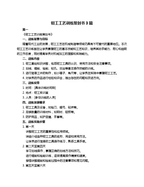 钳工工艺训练策划书3篇