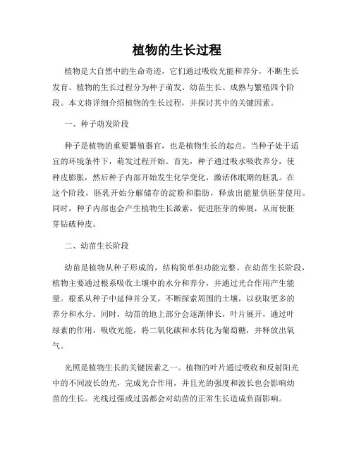 植物的生长过程