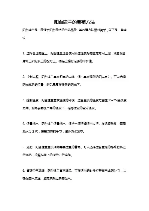 阳台建兰的养殖方法