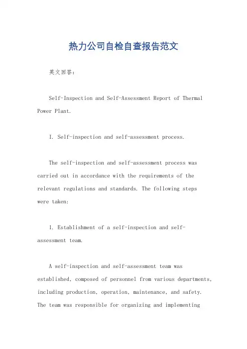热力公司自检自查报告范文