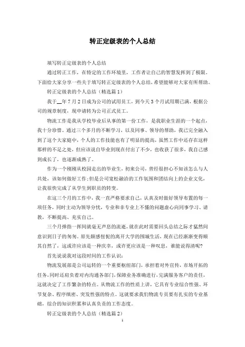 转正定级表的个人总结