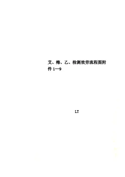 艾、梅、乙、检测服务流程图附件1--9