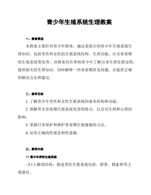 青少年生殖系统生理教案