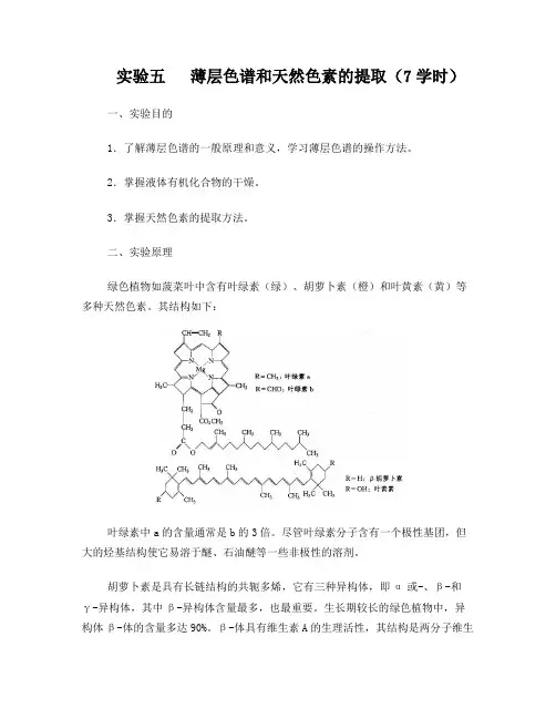 实验七薄层色谱和天然色素的提取