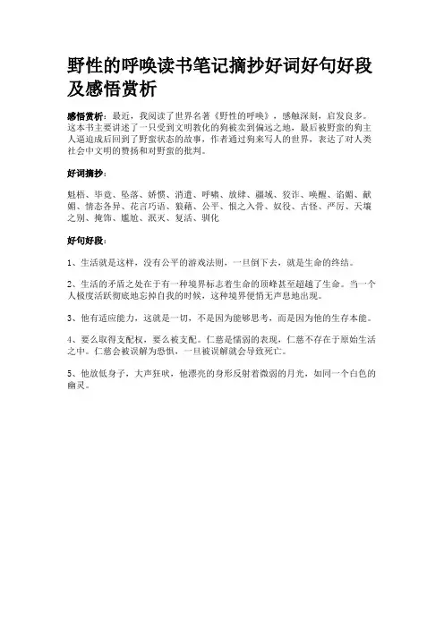 野性的呼唤读书笔记摘抄好词好句好段及感悟赏析