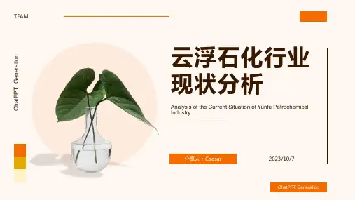 2023年云浮石材行业现状分析：重新洗牌势在必行报告模板