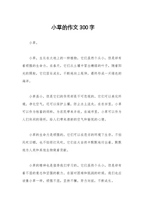 小草的作文300字
