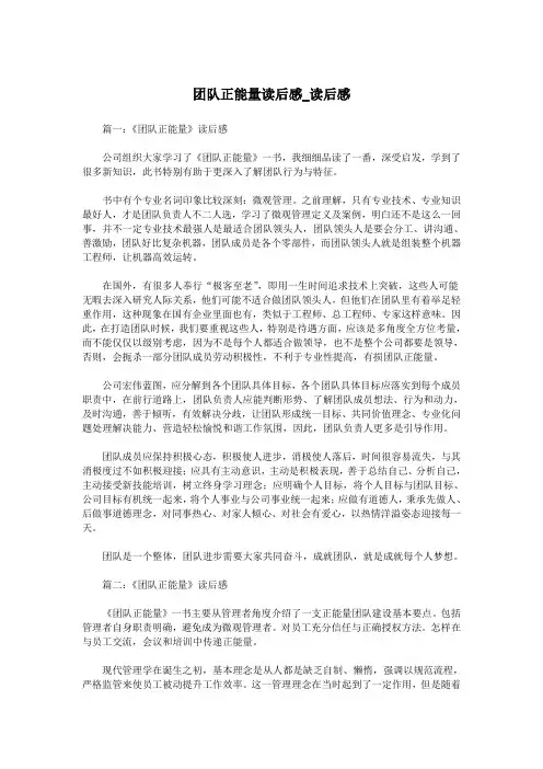 团队正能量读后感_读后感.doc