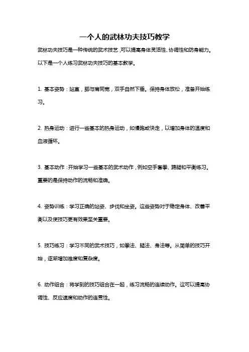 一个人的武林功夫技巧教学