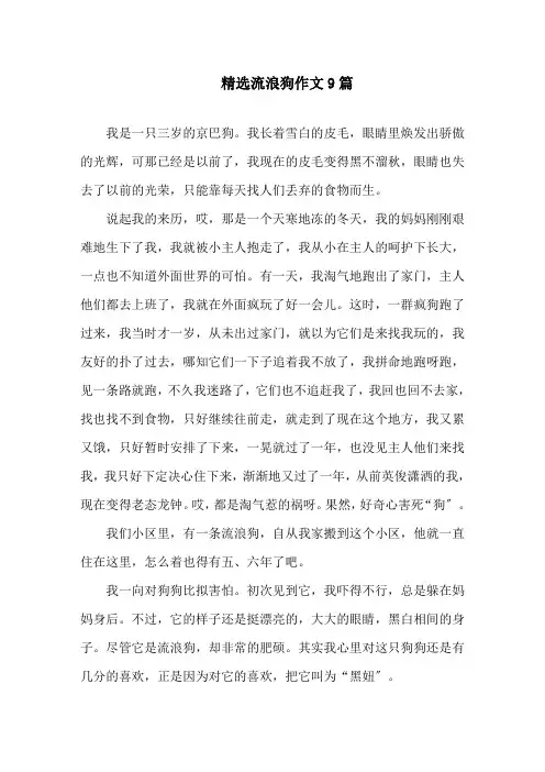 中小学精选流浪狗作文9篇