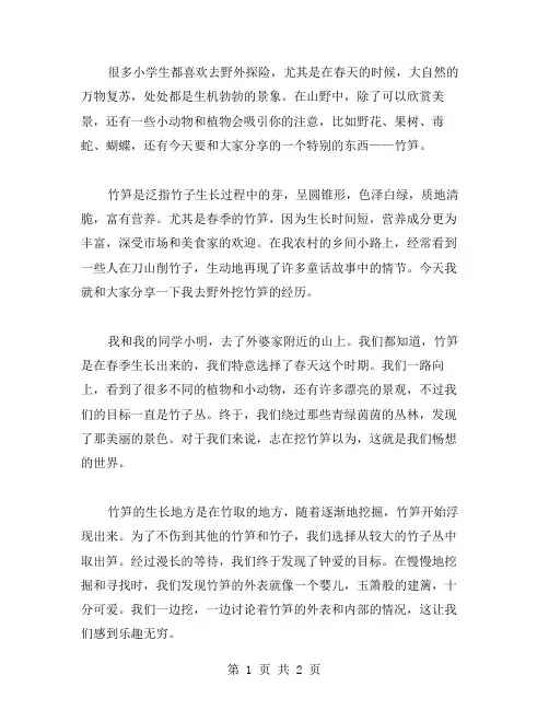 挖笋记小学作文范文