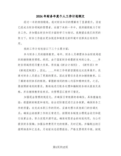 2024年财务年度个人工作计划例文（六篇）