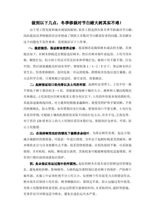 做到以下几点,冬季移栽对节白蜡大树其实不难