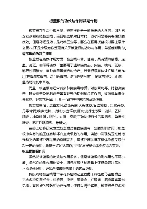 板蓝根的功效与作用及副作用