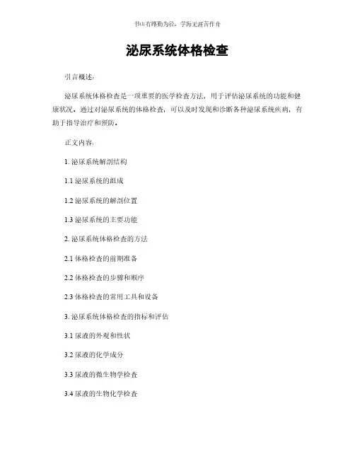 泌尿系统体格检查简版