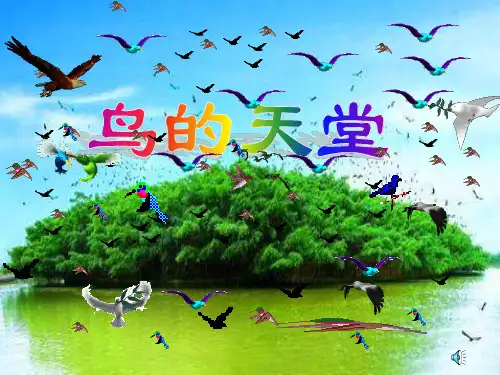 最新人教版部编版小学五年级上册语文《鸟的天堂》微课教学课件