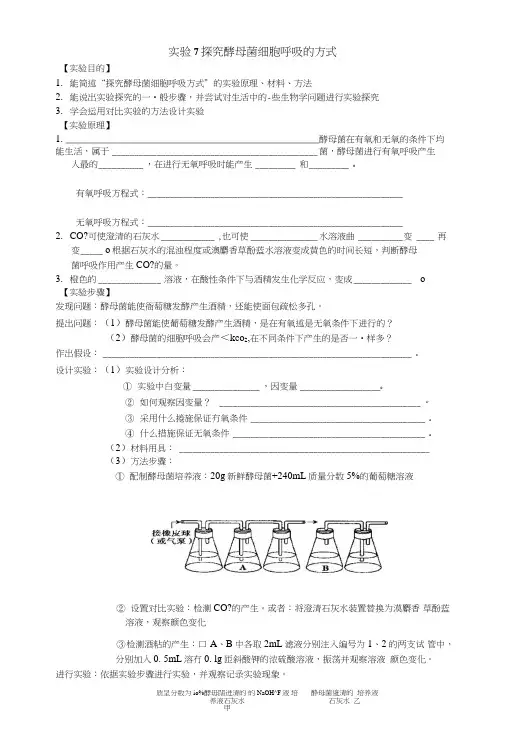 高考第一轮复习(高三生物)导学案实验7探究酵母菌细胞呼吸的方式.doc