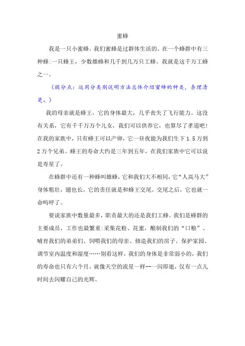 《蜜蜂》优秀作文及点评