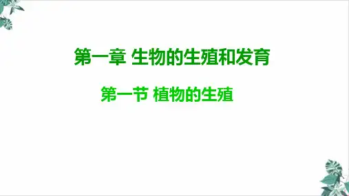 人教版初中生物植物的生殖完整版课件