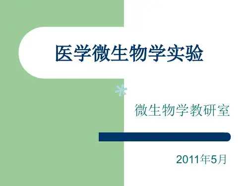 肥达实验
