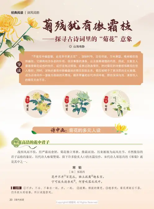 菊残犹有傲霜枝——探寻古诗词里的“菊花”意象