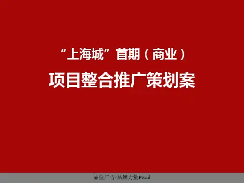 “上海城”首期(商业)城市综合体项目策划案