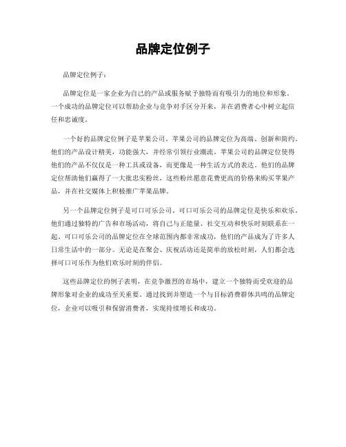 品牌定位例子