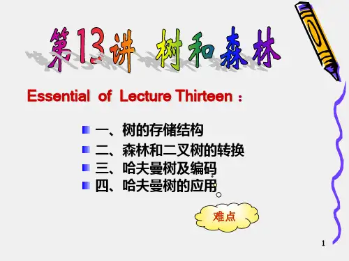 数据结构(C++)--森林