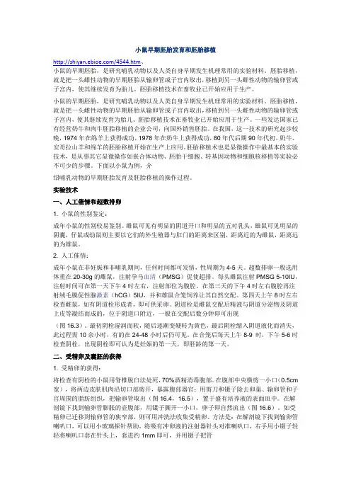 小鼠早期胚胎发育和胚胎移植