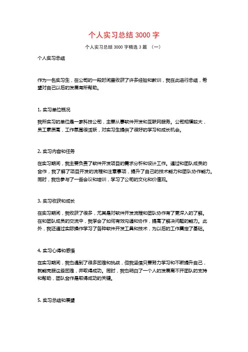 个人实习总结3000字3篇