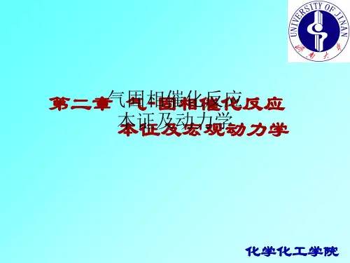 气固相催化反应本证及动力学