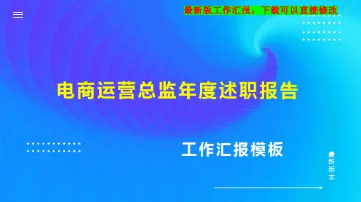 电商运营总监年度述职报告工作总结工作计划2PPT模板下载