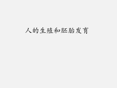 冀少版(初中二年级)八年级生物下册人的生殖和胚胎发育_课件1