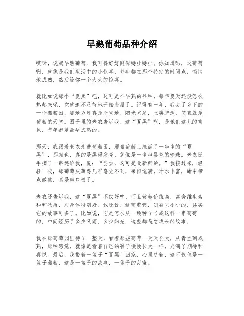 早熟葡萄品种介绍