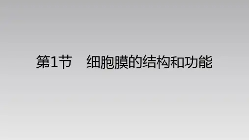 【课件】细胞膜的结构和功能课件2022-2023学年高一上学期生物人教版必修1