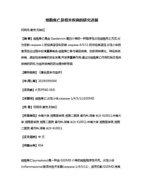 细胞焦亡及相关疾病的研究进展