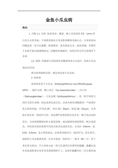 金鱼小瓜虫病