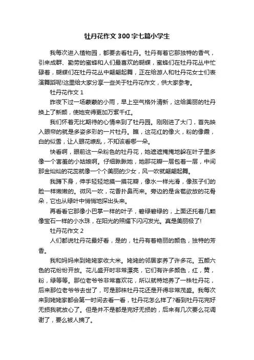 牡丹花作文300字七篇小学生
