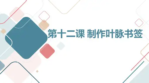 第十二课制作叶脉书签(课件)吉美版三年级上册综合实践活动