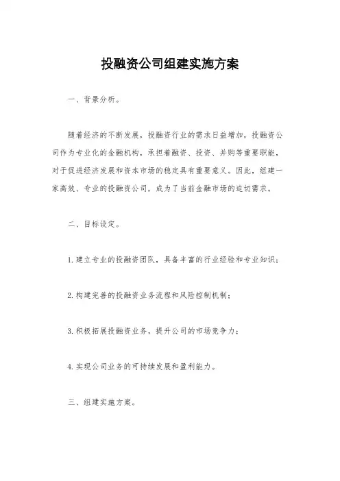 投融资公司组建实施方案