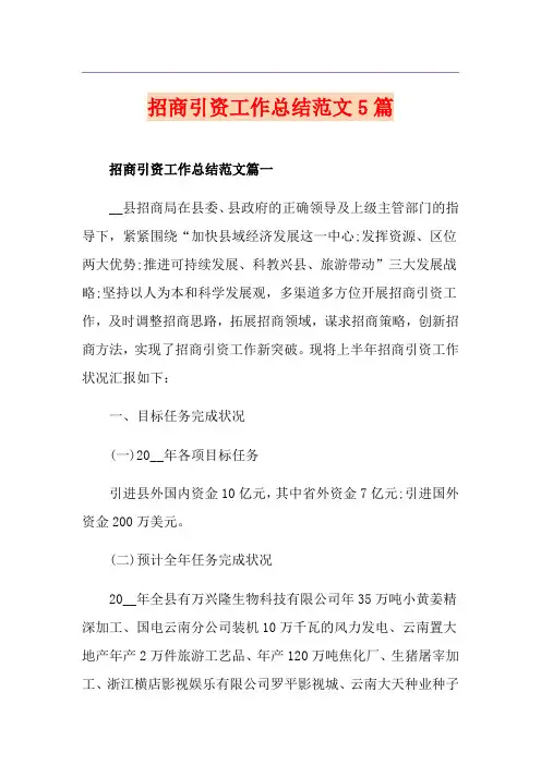 招商引资工作总结范文5篇