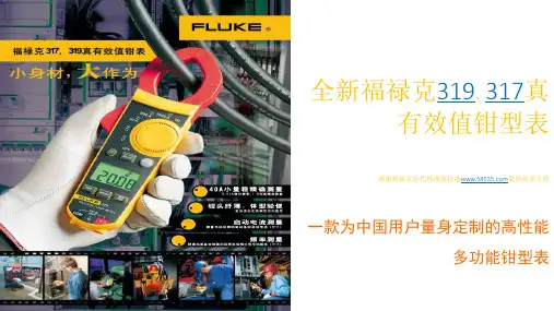Fluke 317,Fluke 319 万用表使用说明书
